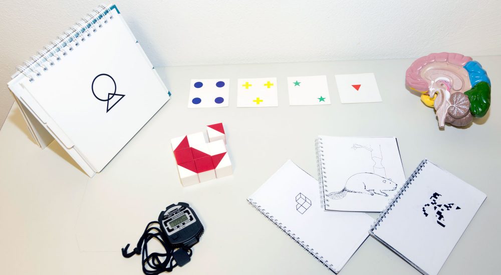 Hasten neuropsicologia